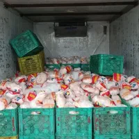 نیروی خورد کن مرغ