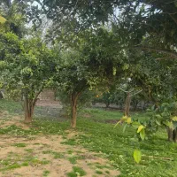 کداستای بنا/۷۰۰مترزمین مسکونی روستایی برآسفالت