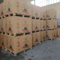 باکس هندوانه ۵۰۰ کیلویی صادراتی