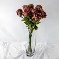 گلدان شیشه|گل و گیاه طبیعی|قوچان, |دیوار