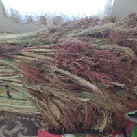 جارو شهری قرمز درجه ۱|لوازم نظافت|کرمانشاه, |دیوار