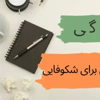 ادمین یوتیوب|خدمات رایانهای و موبایل|تهران, پاسداران|دیوار