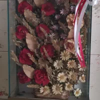 باکس گل خشک نو