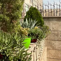 اجاره-واحد-95متری-2خواب-فول-امکانات-لوکیشن-عالی