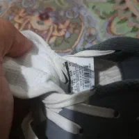 کفش سالنی لونار گتو|کیف، کفش، کمربند|تربت‌حیدریه, منظر|دیوار