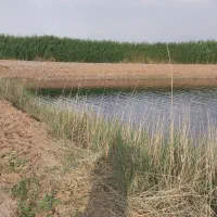 سرمایه گذار راه اندازی کمپ گردشگری