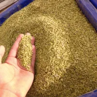 ادویه نان وسبزی نان|خوردنی و آشامیدنی|بیرجند, |دیوار