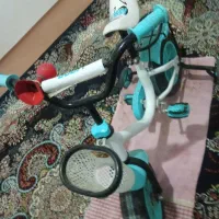 دوچرخه12|دوچرخه، اسکیت، اسکوتر|گنبد کاووس, |دیوار