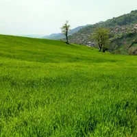 اجاره خانه،ویلا وسوئیت روستای چورت دریاچه میانشه