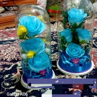 گل های شیک باکس های شیشه ای