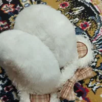 کلاه کپ و گوشگیر
