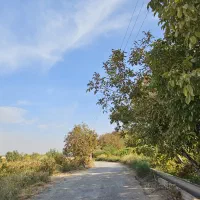 باغچه زمین باغ سنددار *برق /آب|فروش زمین و ملک کلنگی|رباطکریم, پیغمبر|دیوار