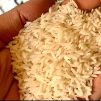 پک وکیوم ۲ کیلویی  برنج طارم هاشمی|خوردنی و آشامیدنی|قم, شهرک توانیر|دیوار