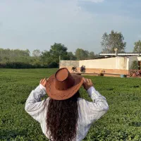 تور ماسوله و تی باغ