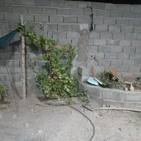 10قصب-زمین-مسکونی-عنبرآباد-چهارراه-بهشت-زهرا