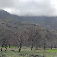 کالسکه