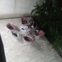 اجاره روزانه باغ ویلا در خوَشنام|اجارهٔ کوتاهمدت ویلا و باغ|کرج, ساسانی (قلمستان)|دیوار