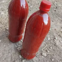 رب خانگی تازه