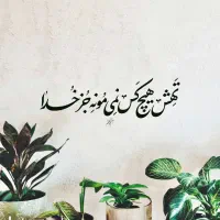 گمشده شناسنامه