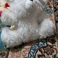 عروسک سالمو و نو