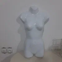 نیم تنه مانکن