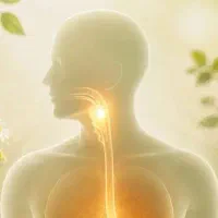 سونو بدن از روی عکس زبان