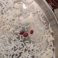 خورده برنج وبرنج کامفیروزی ارگانیک|خوردنی و آشامیدنی|کر, |دیوار