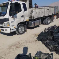 الوند8تن‌ونیم