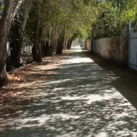 فروش زمین زیر قیمت کاسبی به خریدار واقعی