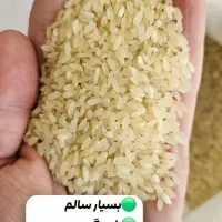 برنج کامفیروزی