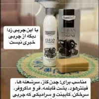 موتور شو  خودرو نانو(  چربی زدا گاز و قابلمه)