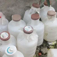 دبه خیارشور سالم