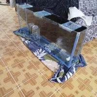 آکواریوم بزرگ شیشه 10میل سالم