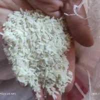 فروش برنج دنوج طارم هاشمی درجه یک