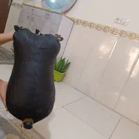 جا روغن حیوانی|ظروف نگهدارنده، پلاستیکی، یک‌بارمصرف|شهریار, شهرک بهاران (ویره)|دیوار