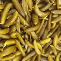 خیارشور|خوردنی و آشامیدنی|گل تپه, |دیوار