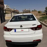 شاهین سفید