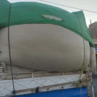 کاه گلرنگ|لوازم جانبی حیوانات|شیراز, نارنجستان|دیوار