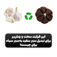 سیر سیاه|خوردنی و آشامیدنی|کرمان, |دیوار