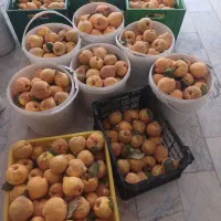 به آستانه