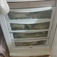 یخچال فریزر