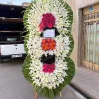 پخش کننده گل شبکه ای تاجگل|گل و گیاه طبیعی|تهران, آهنگ|دیوار
