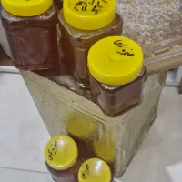 فروش ویژه عسل کنار درجه ۱