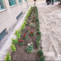خدمات باغبانی و گل کاری در تمام نقاط تهران|خدمات باغبانی و درختکاری|تهران, سعادت‌آباد|دیوار