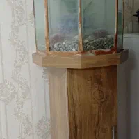 آکواریوم تمیز وسالم