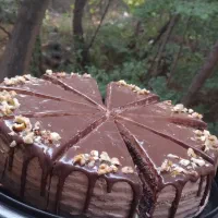 همکاری در کافه واقع در بازار روز رشت