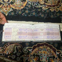 واگذاری سگ پاگ ماده|سگ|تبریز, |دیوار