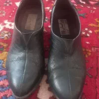 کفش|کیف، کفش، کمربند|سهند, |دیوار