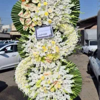 گل فروشی تاج گل تبریک ترحیم (بازارگل)|گل و گیاه طبیعی|تهران, افسریه شمالی|دیوار