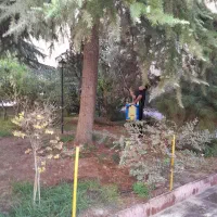 نیازمند نظافتچی